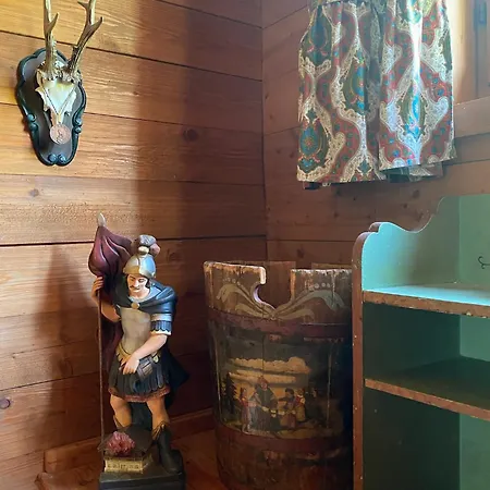 Tatil Evi Alpenchalet Czernin