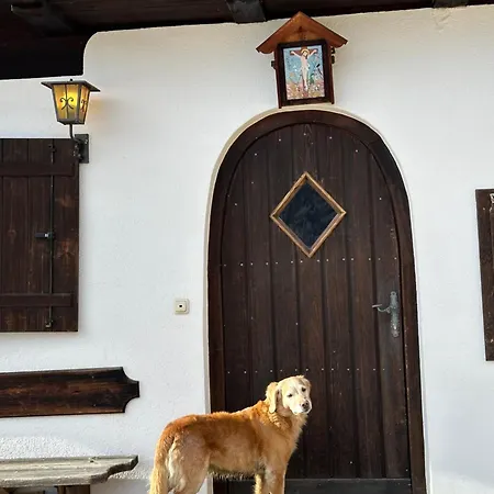 Alpenchalet Czernin Tatil Evi *